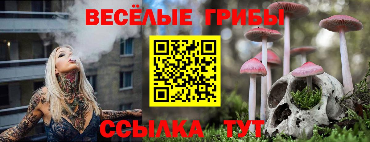 Балашиха  Галлюциногенные грибы мицелий  Вход с VPN  Псилоцибиновые грибы мицелий 